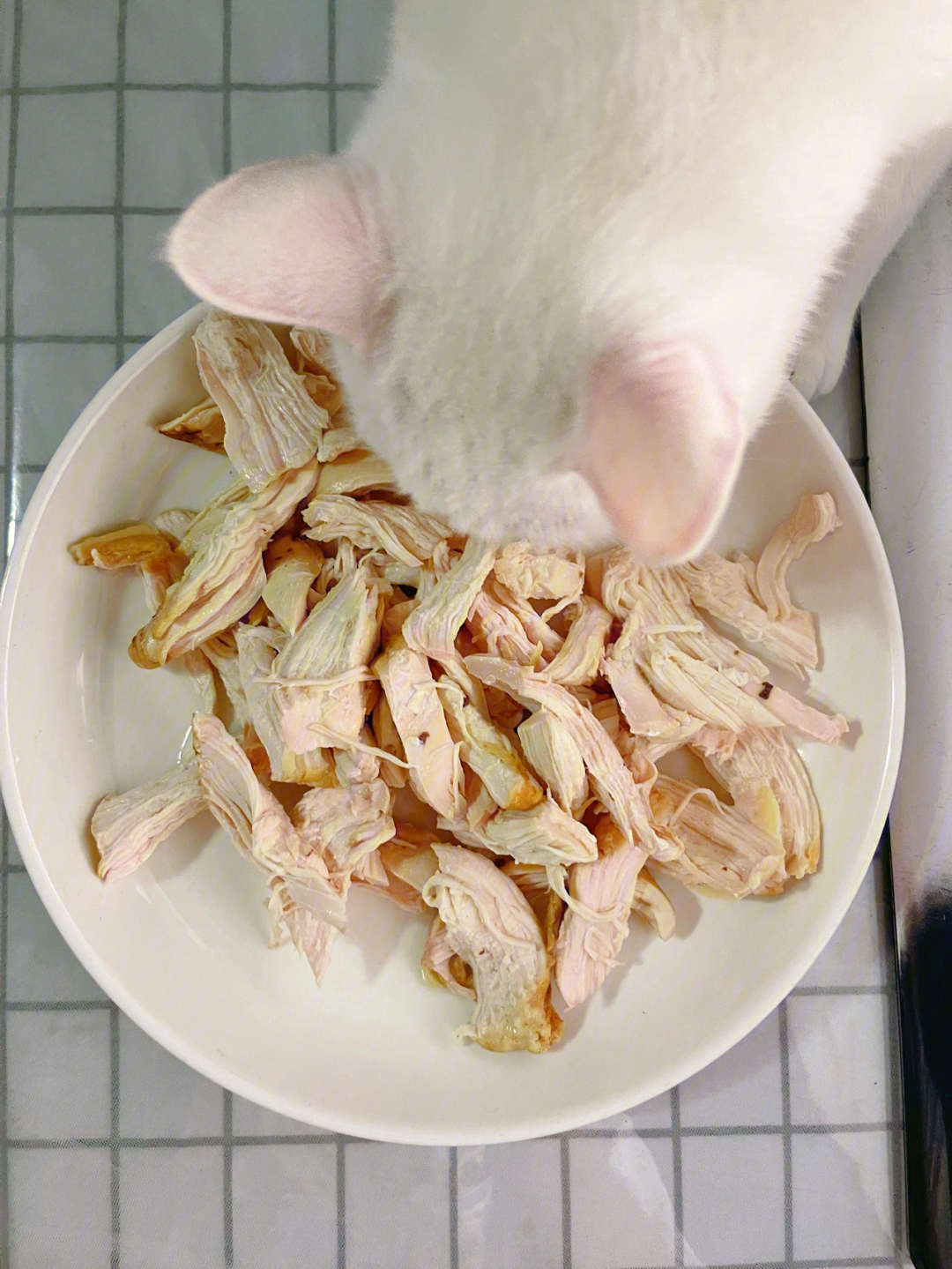 自制猫饭:蒸鸡胸肉