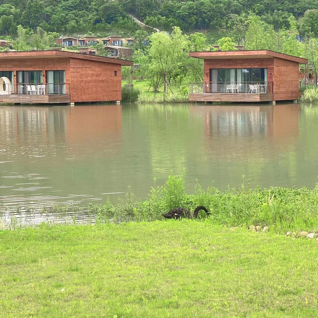 浙江适合亲子游度假村图片