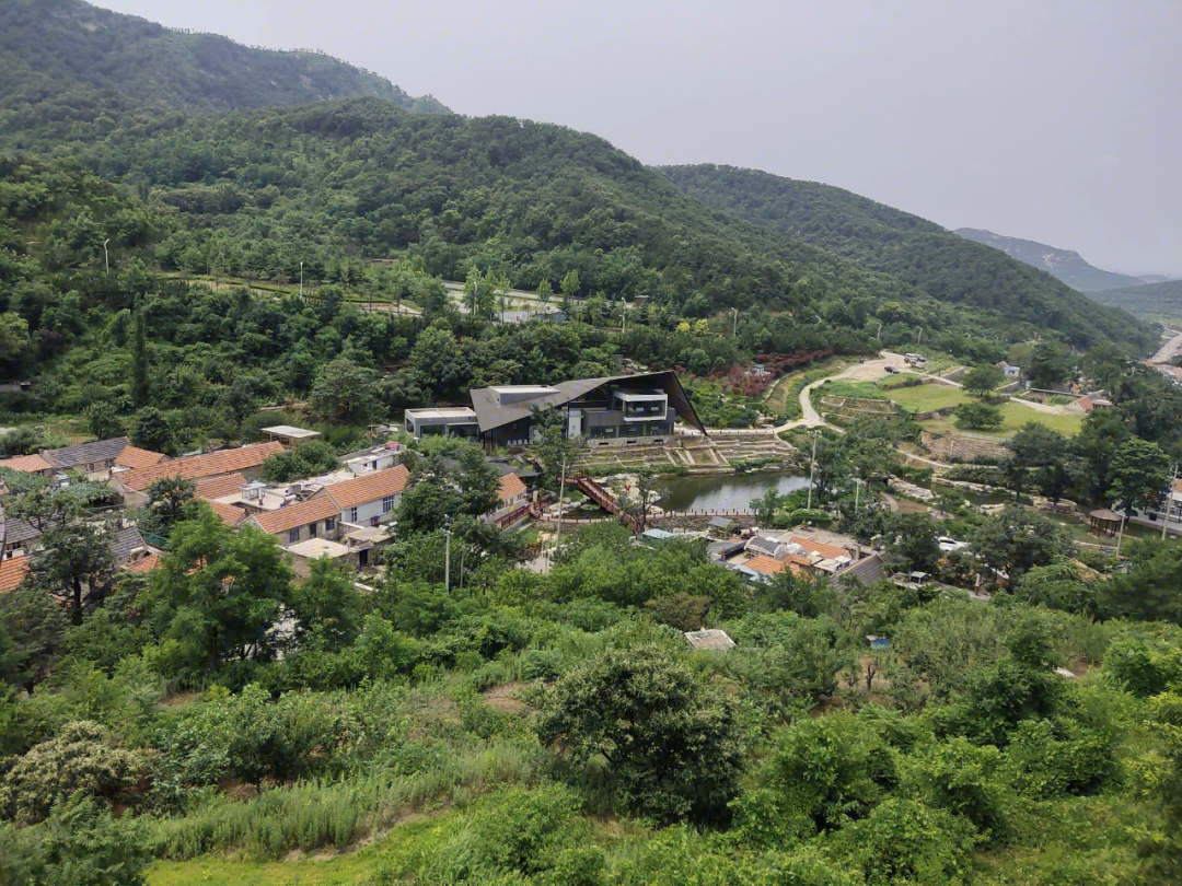 威海里口山大火图片