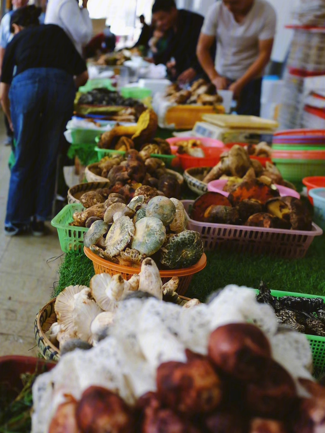 云南菜市场吃菌子
