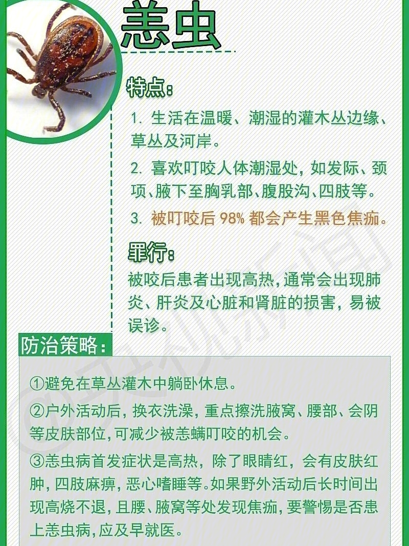 夏季防虫手册记得收好哦超实用