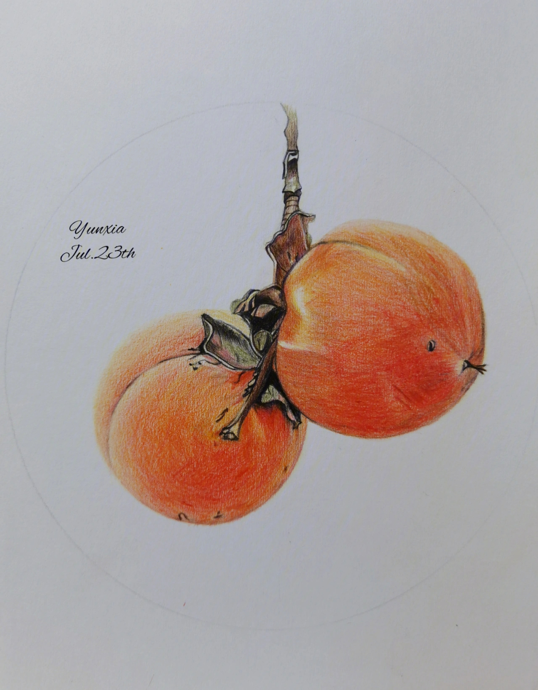柿柿如意彩铅图片