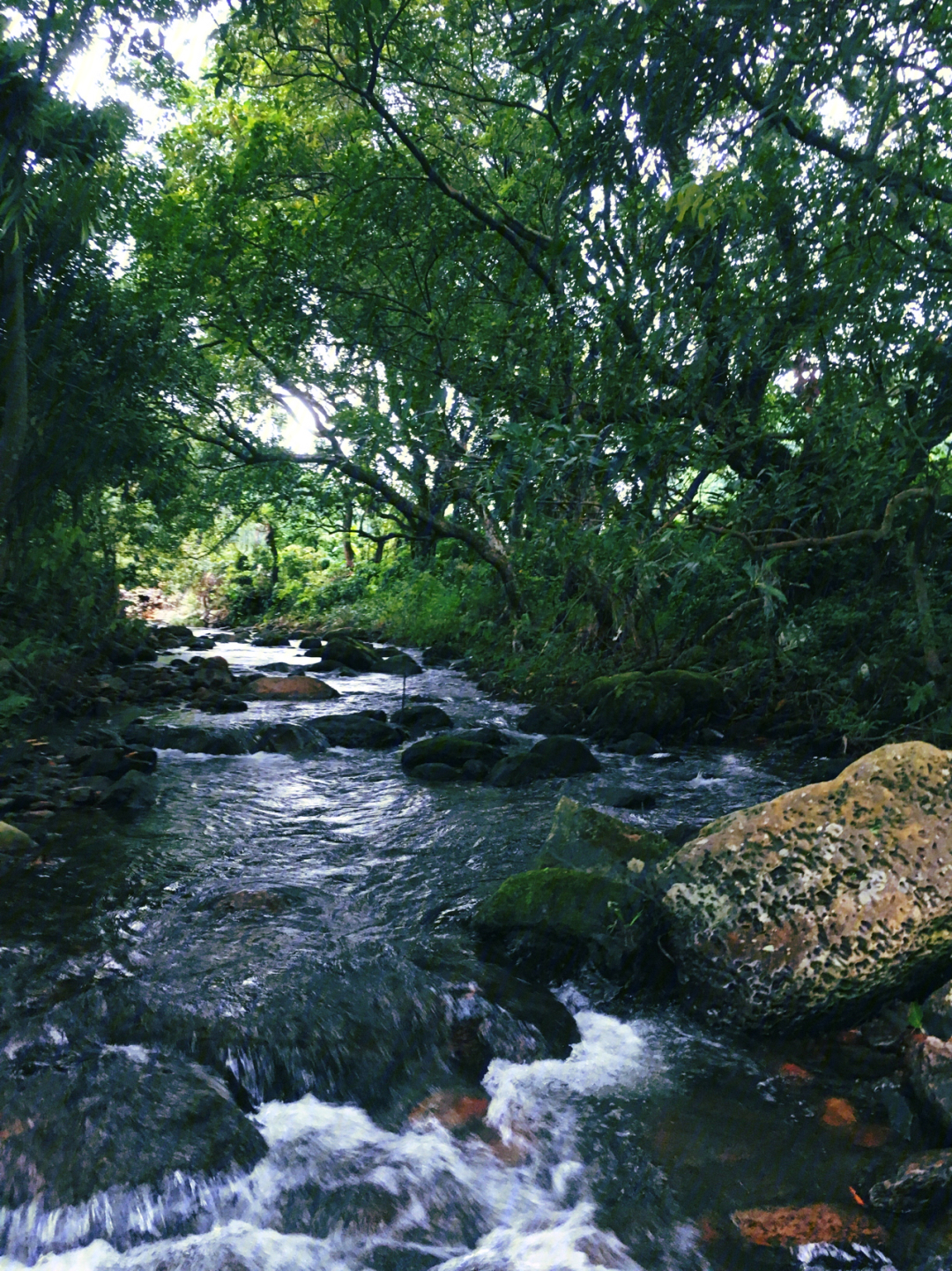 武鸣大明山景区图片