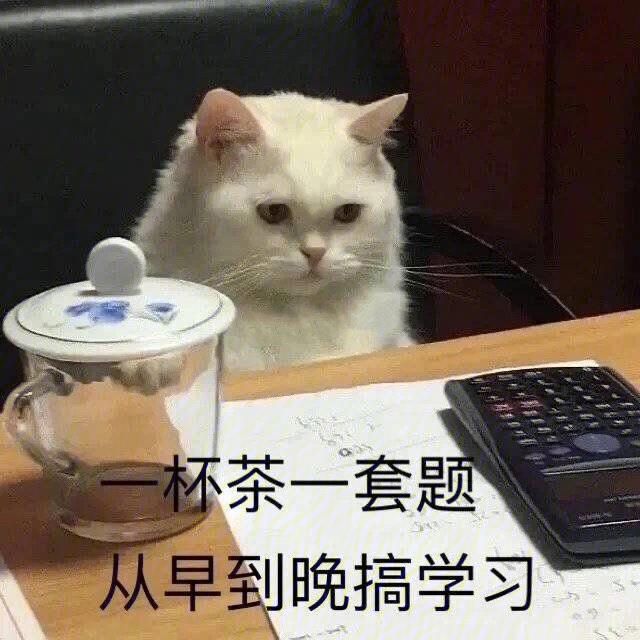 中考完也要认真搞学习