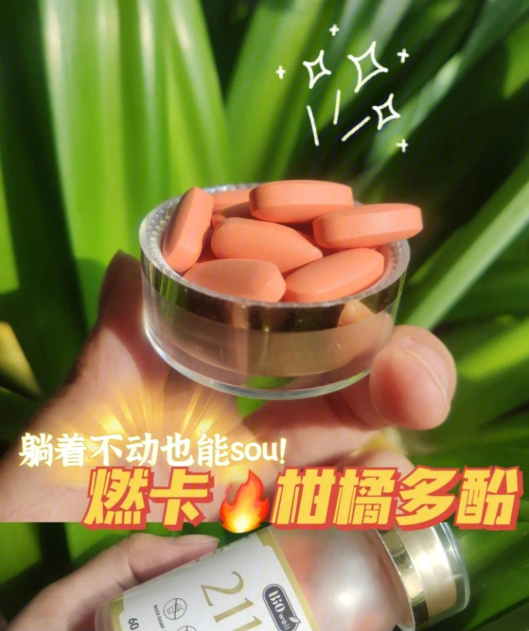 15就在某乎和小破站看了看科普get了柑橘多酚的妙9815fu作用