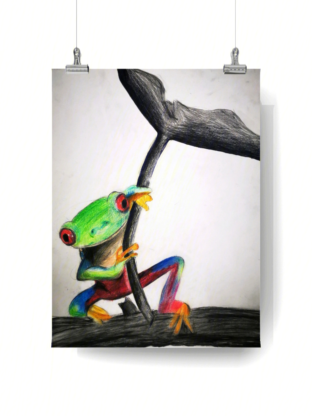 青蛙的素描画图片