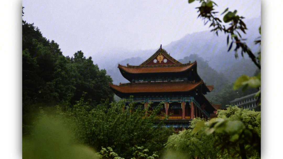 温州净名寺图片