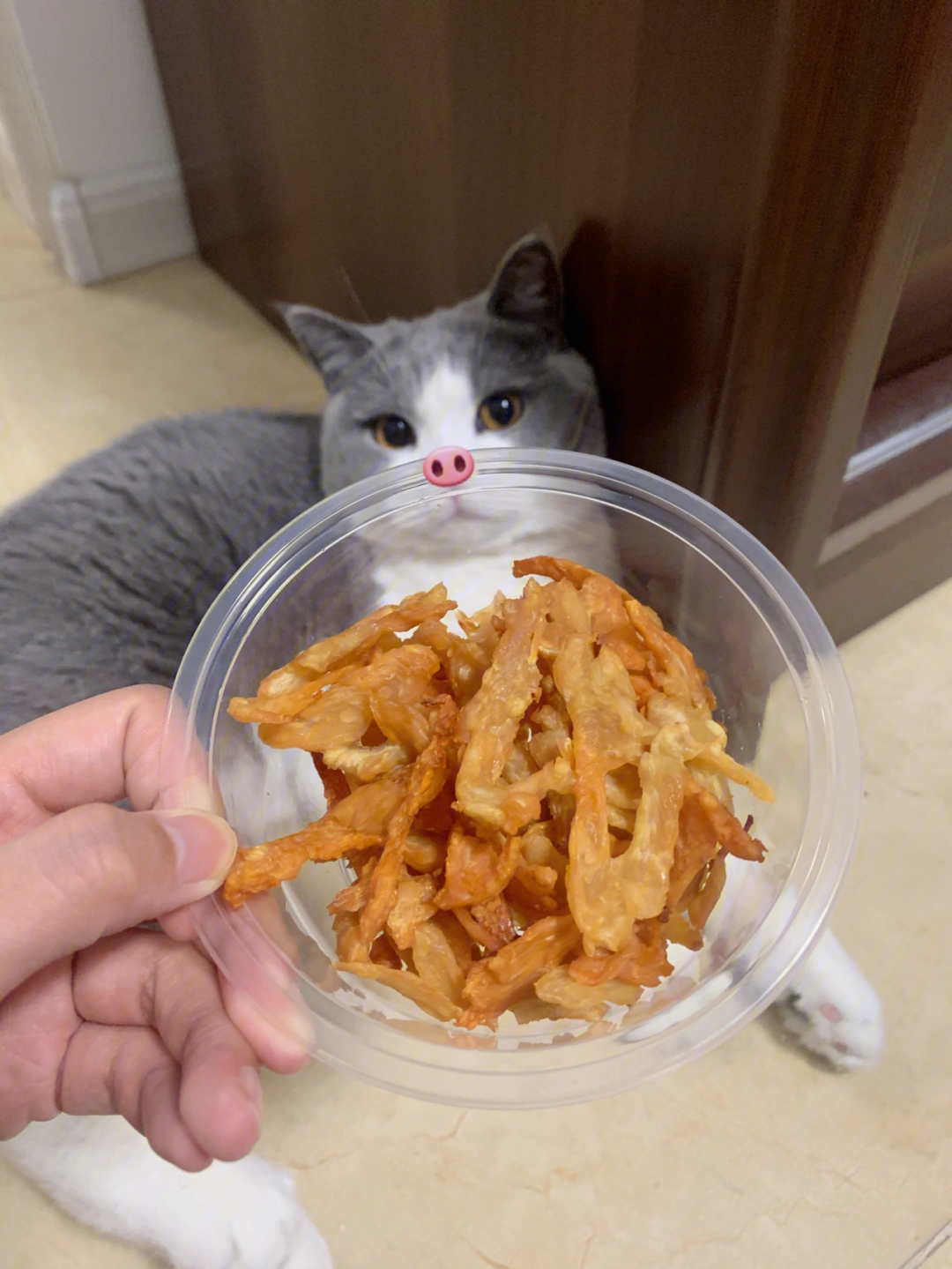 烤箱给猫咪做鸡肉冻干图片