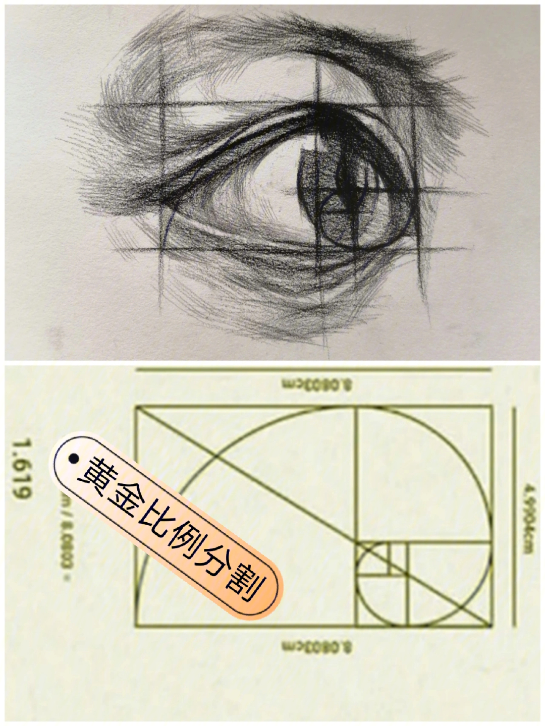 眼睛美学标准分析图图片