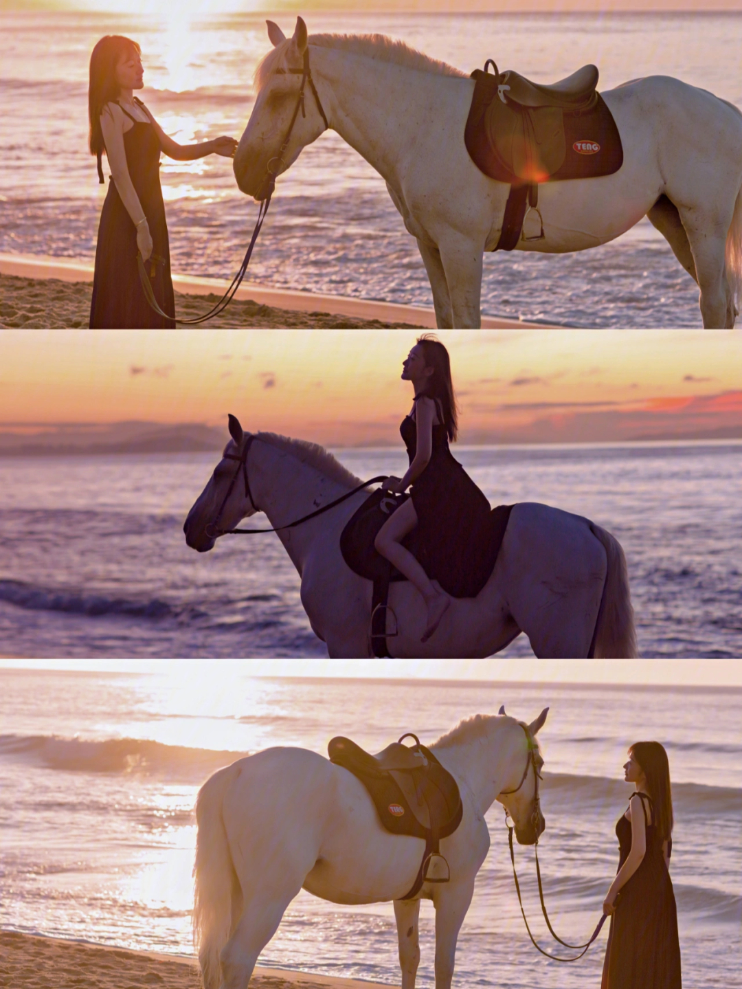 肯豆海边骑马照片图片
