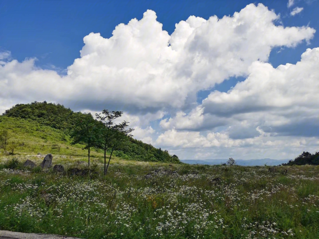 2021千野草场门票图片