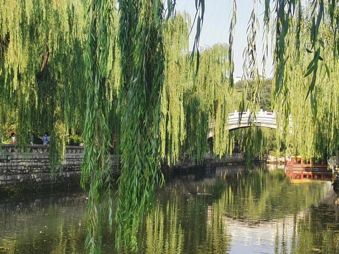 如皋护城河全景图片