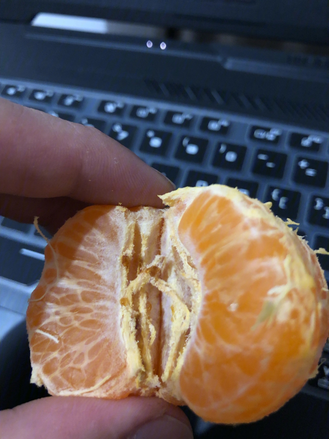 橘子剥开皮里面发蓝绿图片