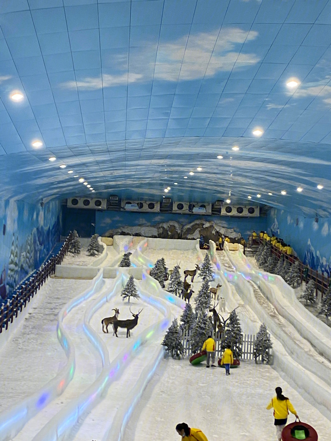 深圳阿尔卑斯滑冰场图片