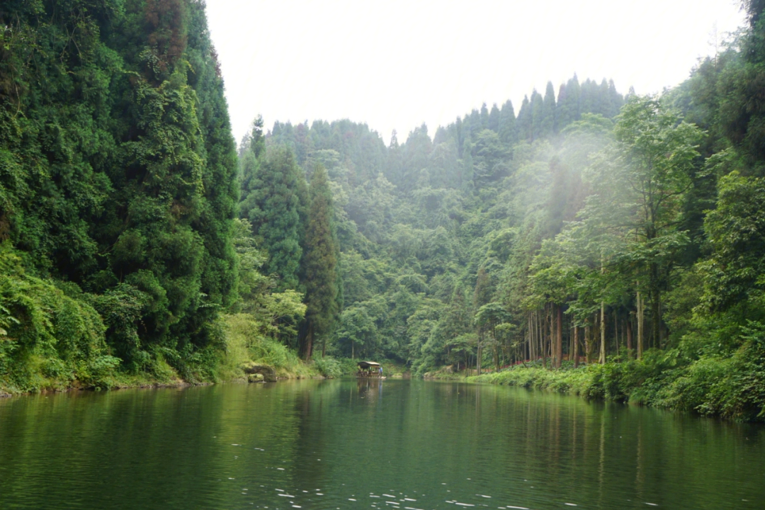 雅安龙苍沟景区不能去图片