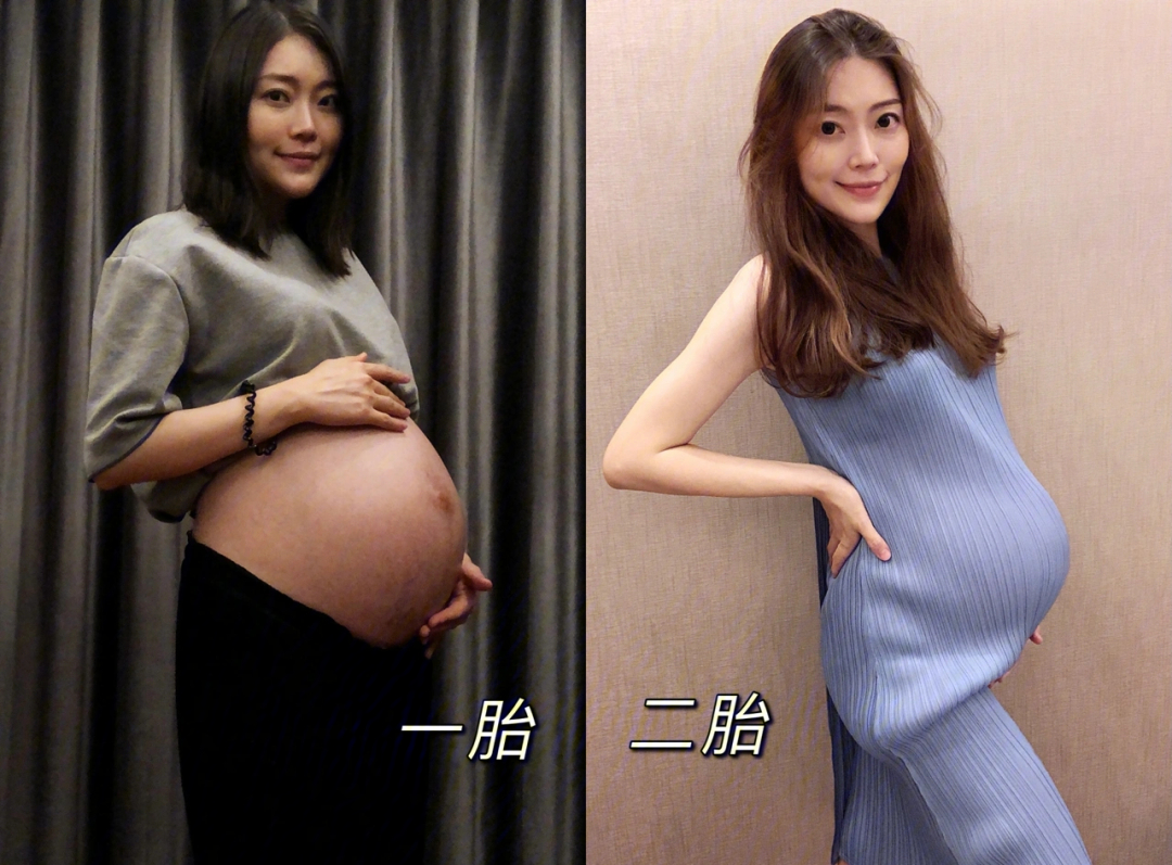 娄艺潇为陈赫怀孕照片图片