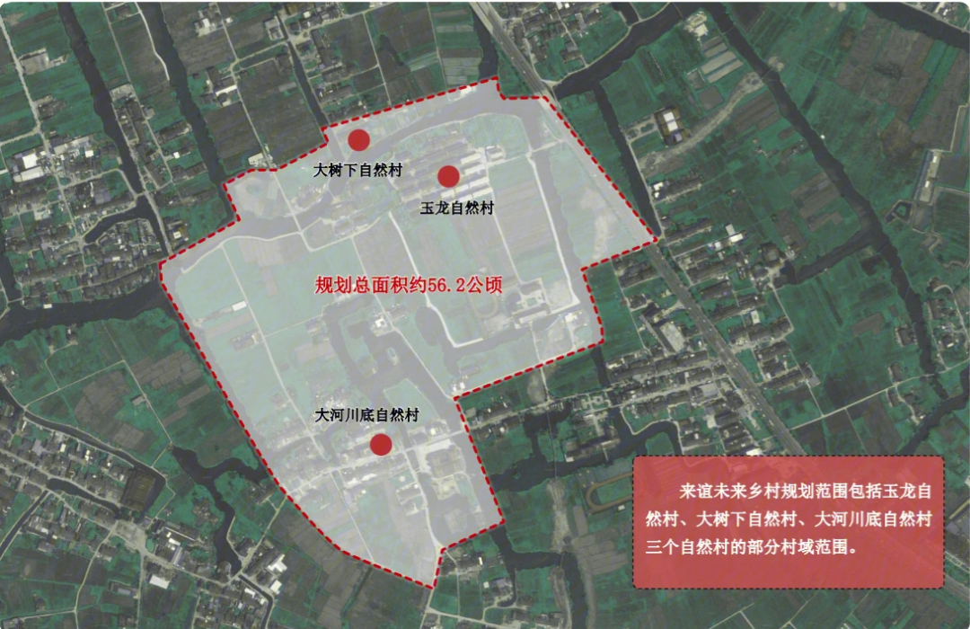 苍南县钱库镇地图图片