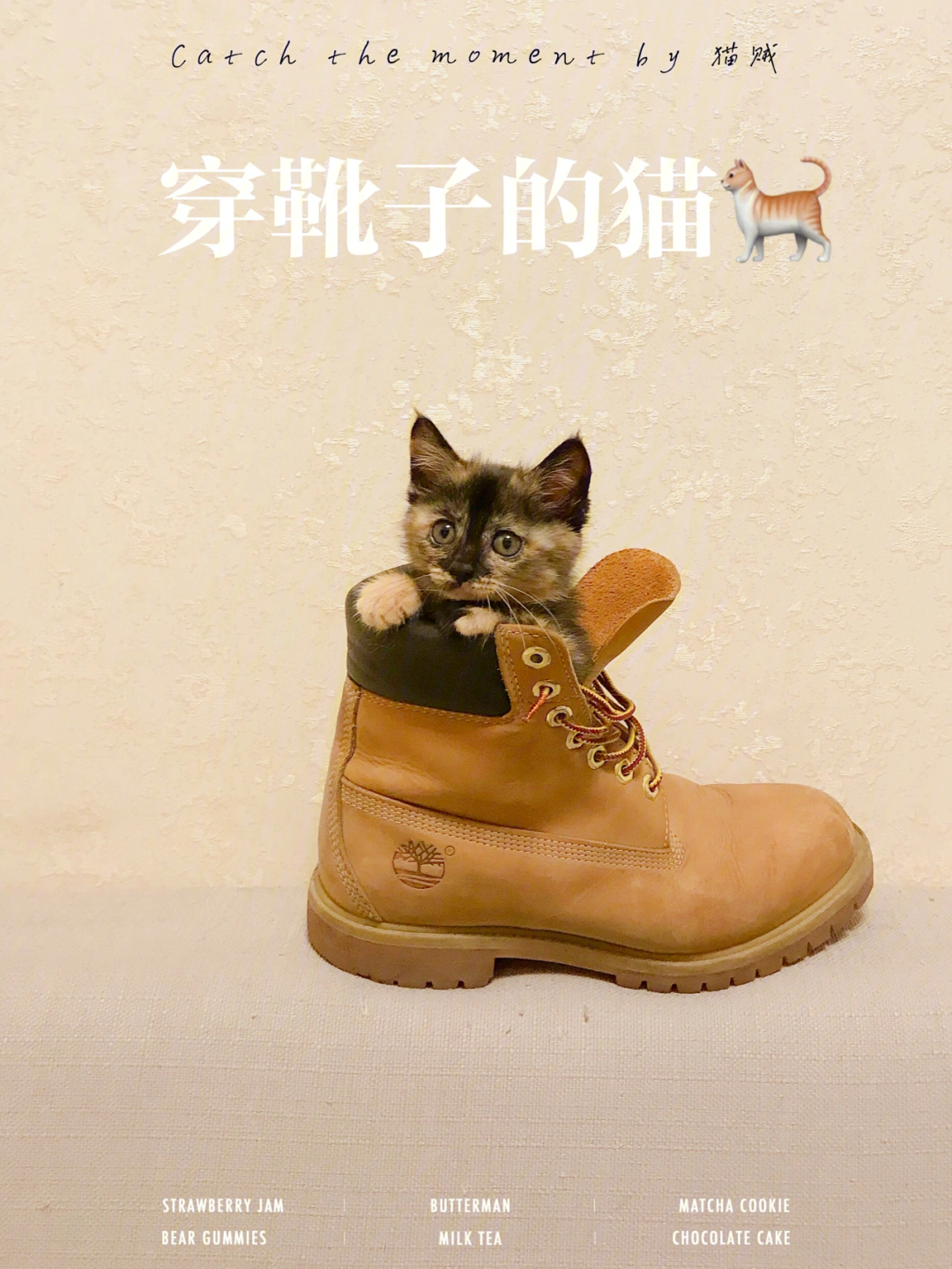 timberland海报图片