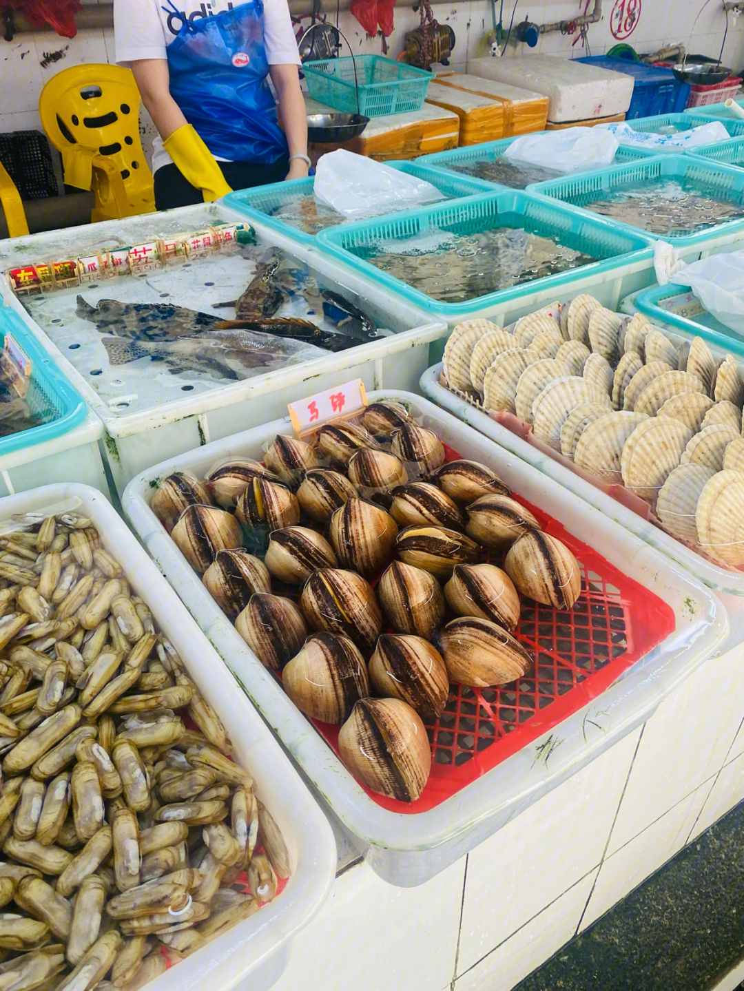 珍珠湾海鲜市场图片