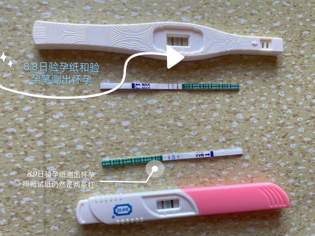 验孕纸怎么看 怀孕图片