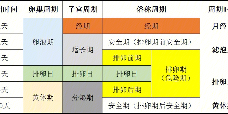 个人生理周期图片