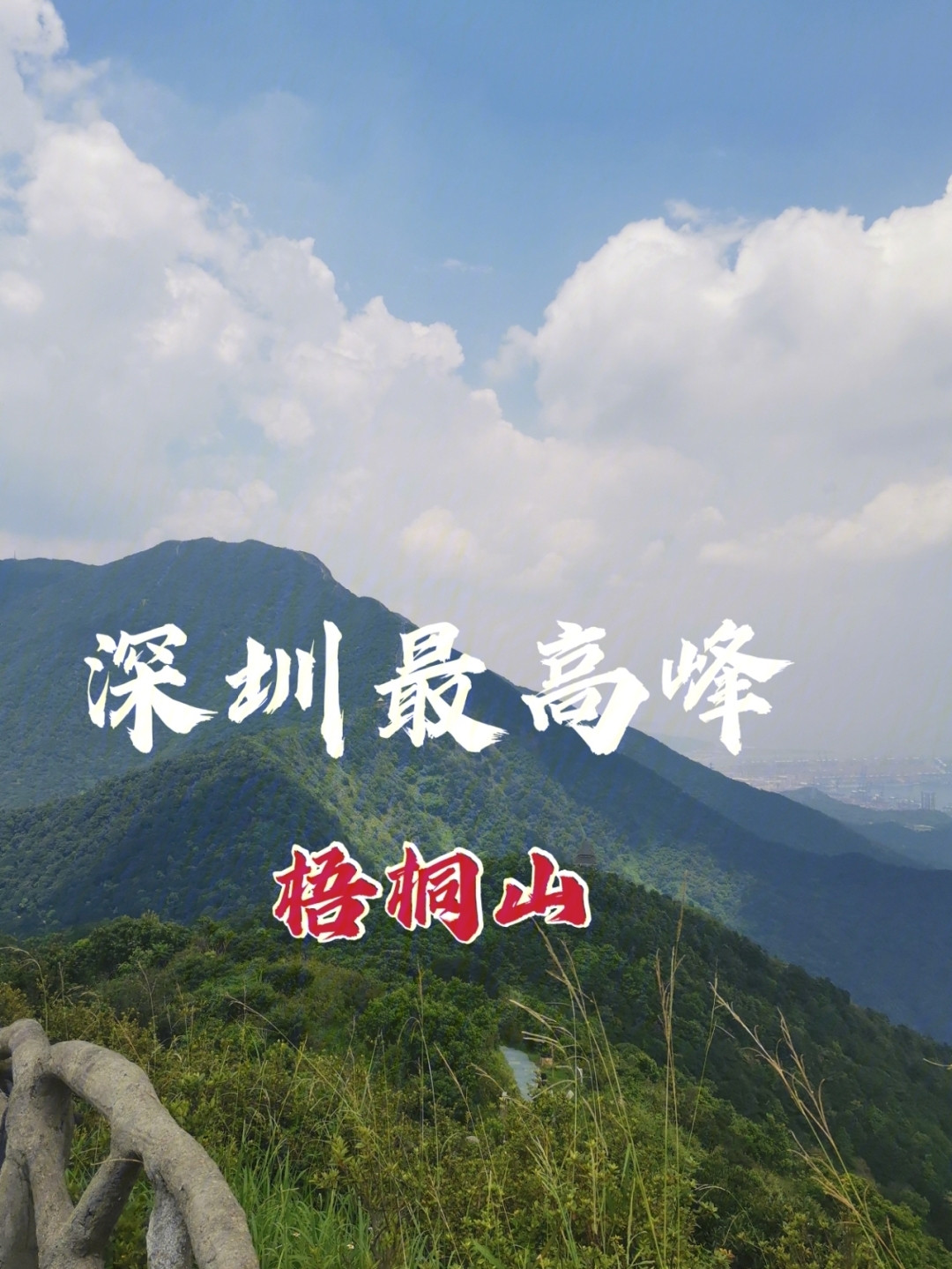 深圳梧桐山实用攻略