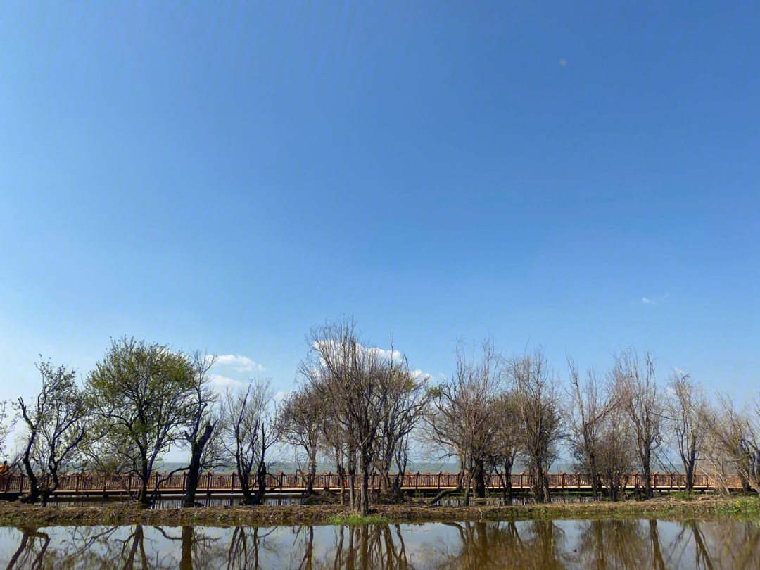 王圈水库湿地公园图片