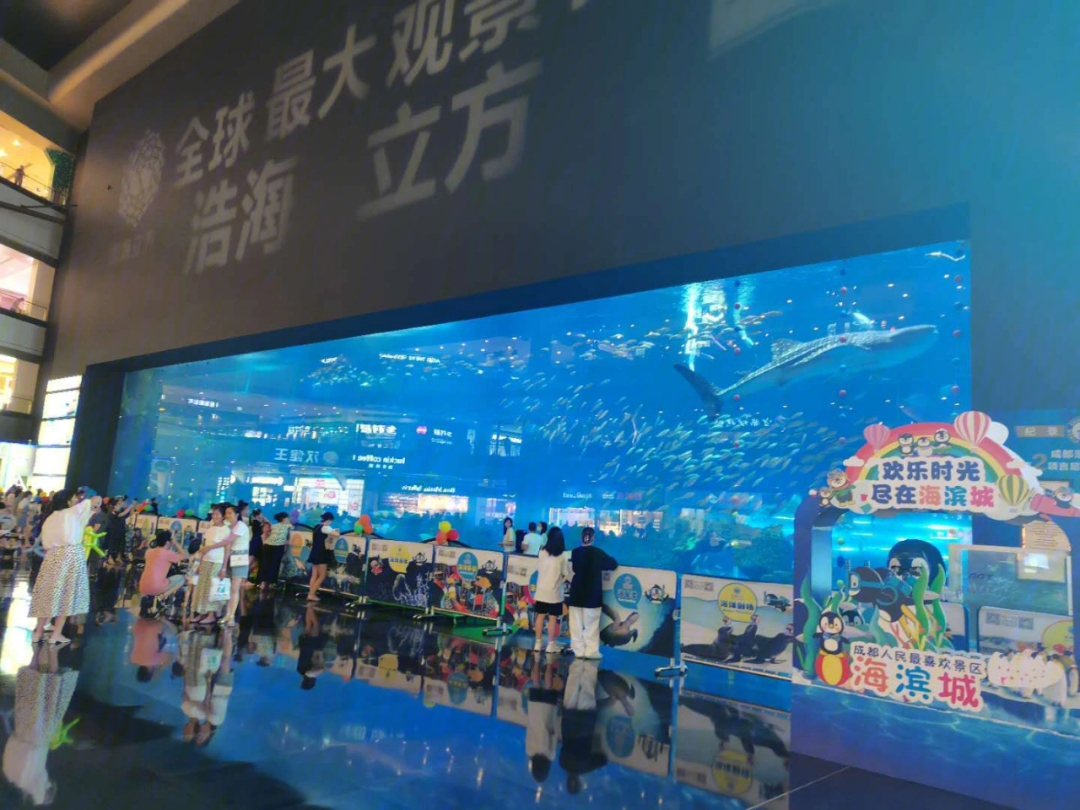 成都最大的海洋馆图片