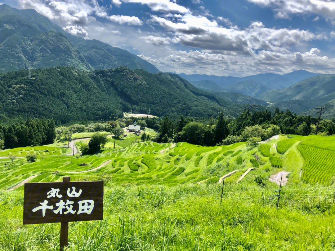 三重县丸山梯田