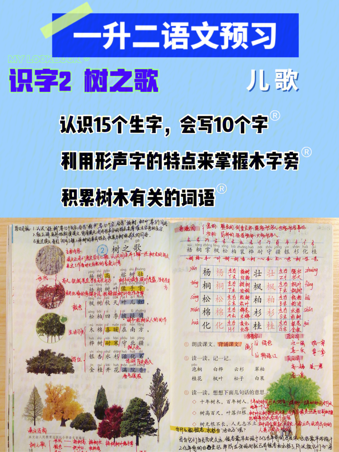 二年级语文上识字266树之歌