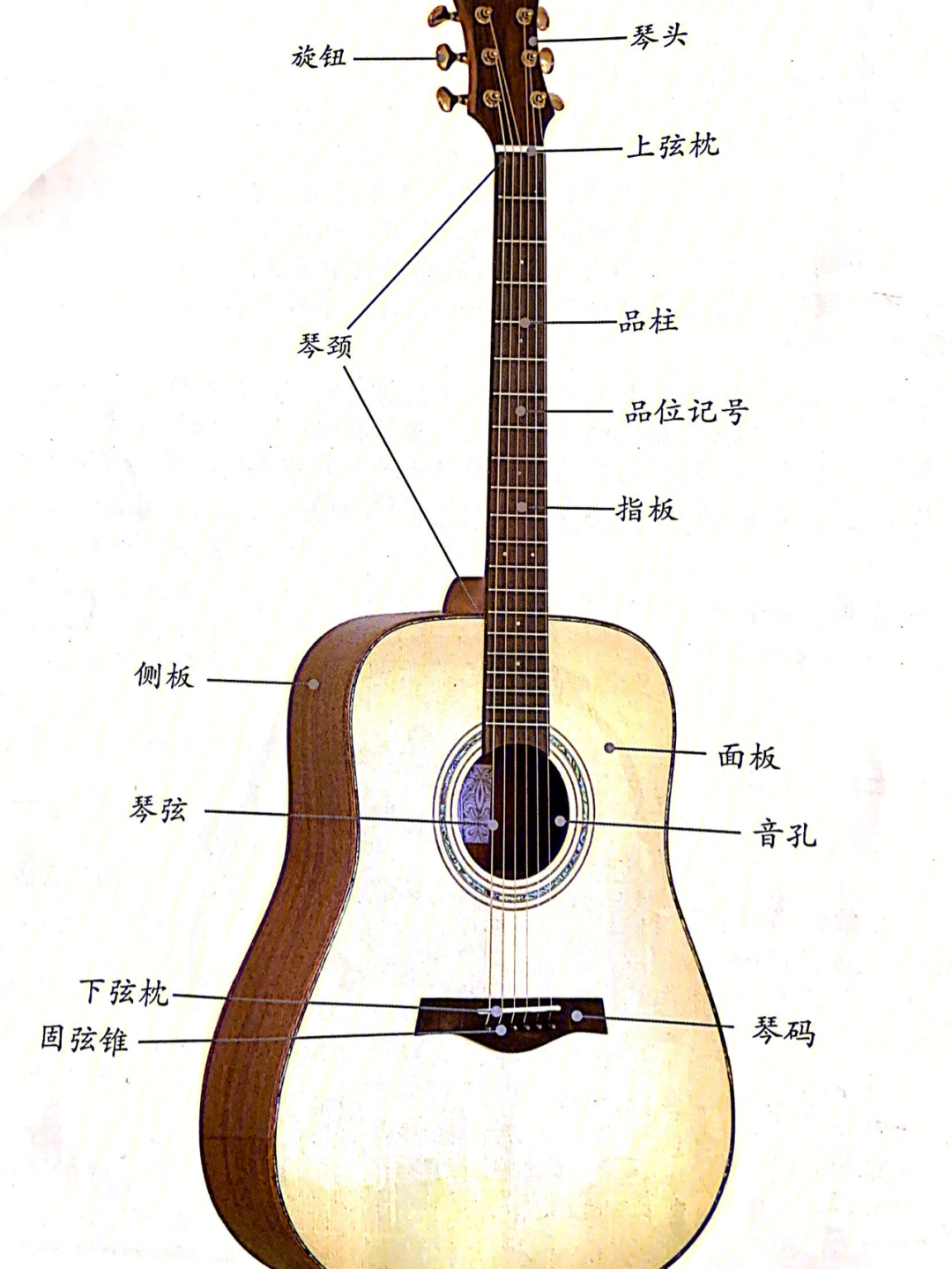 吉他的结构 讲解图片