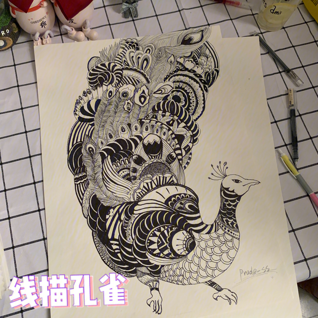 线描孔雀附教程