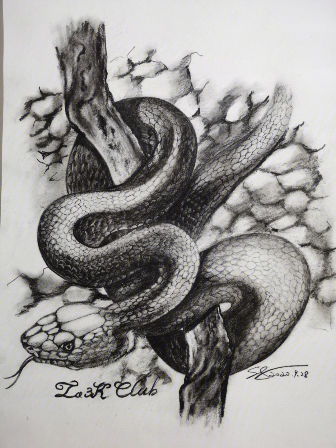 素描巨蛇图片
