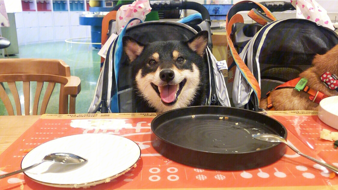 猫狗俱乐部宠物餐厅图片