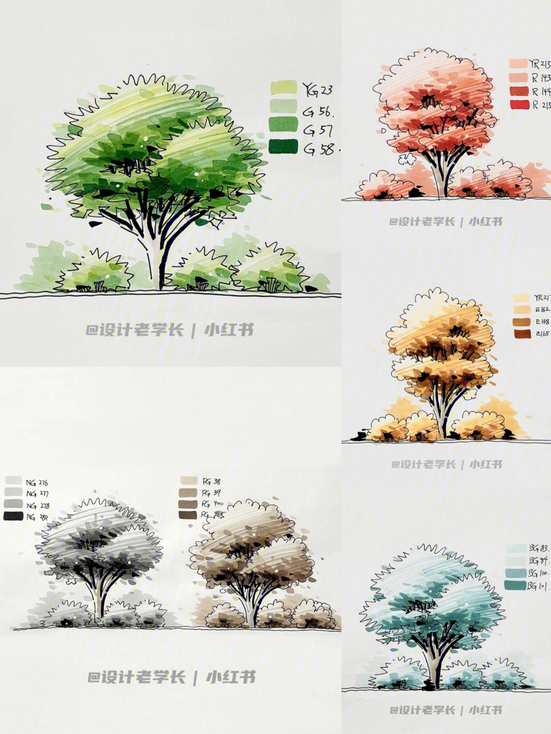 马克笔森林风景画教程图片
