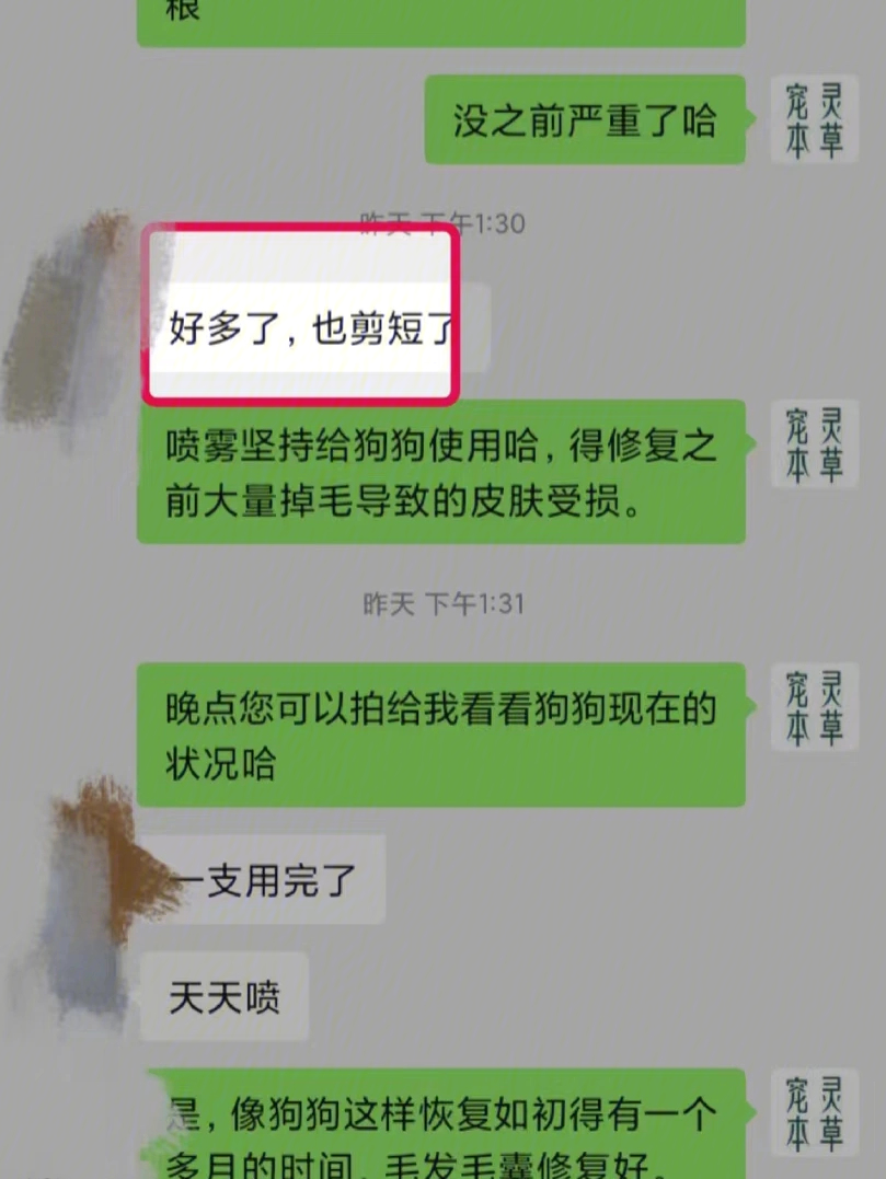 后续喷雾继续巩固～希望狗狗早日恢复