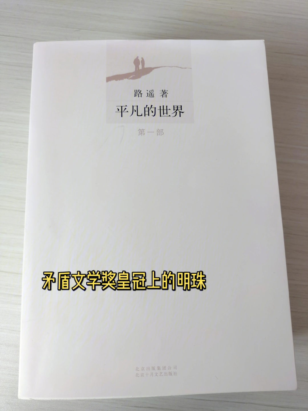 近十年间的时间跨度,以孙少平孙少安两兄弟的成长经历,奋斗历程为主线