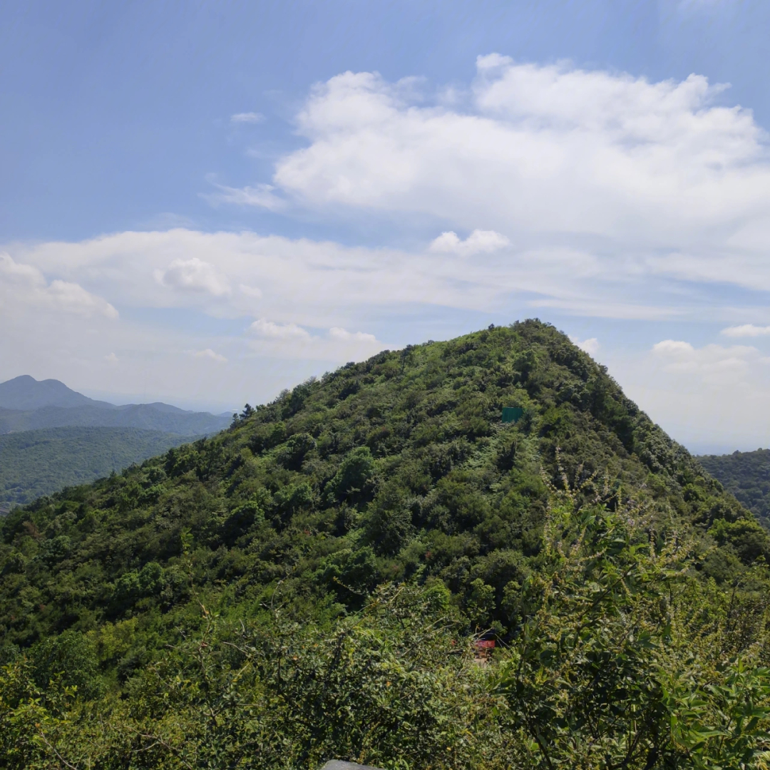 麻布山森林公园在哪里图片