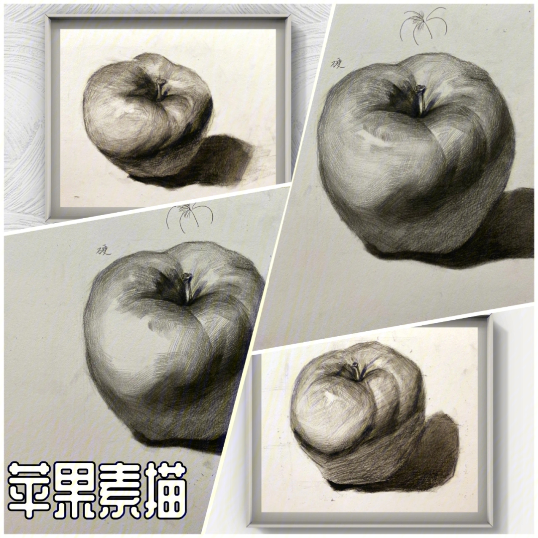 素描静物苹果