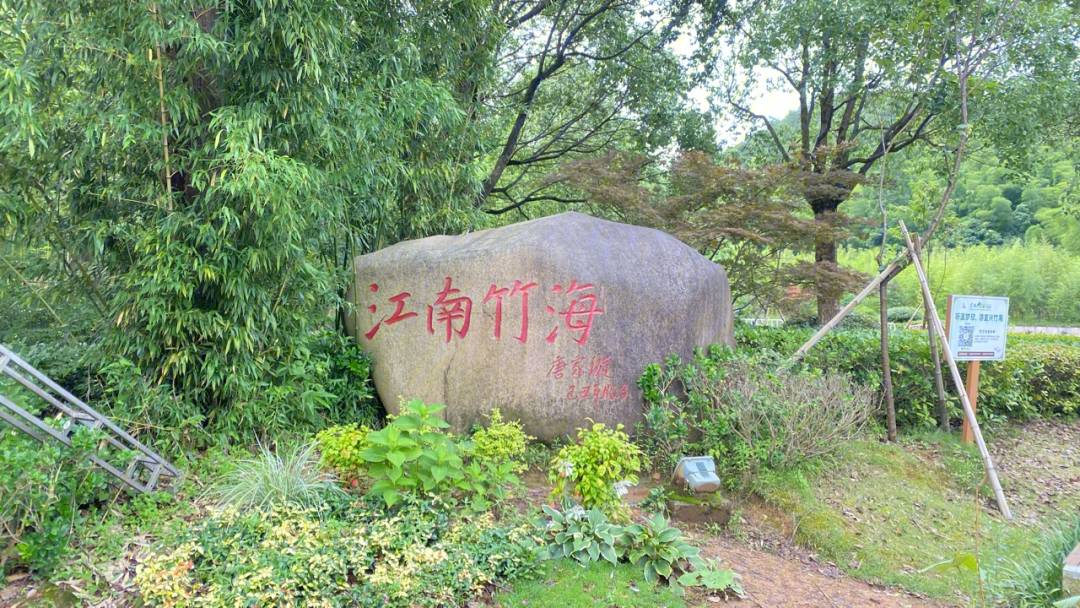 宜兴竹海景点介绍图片