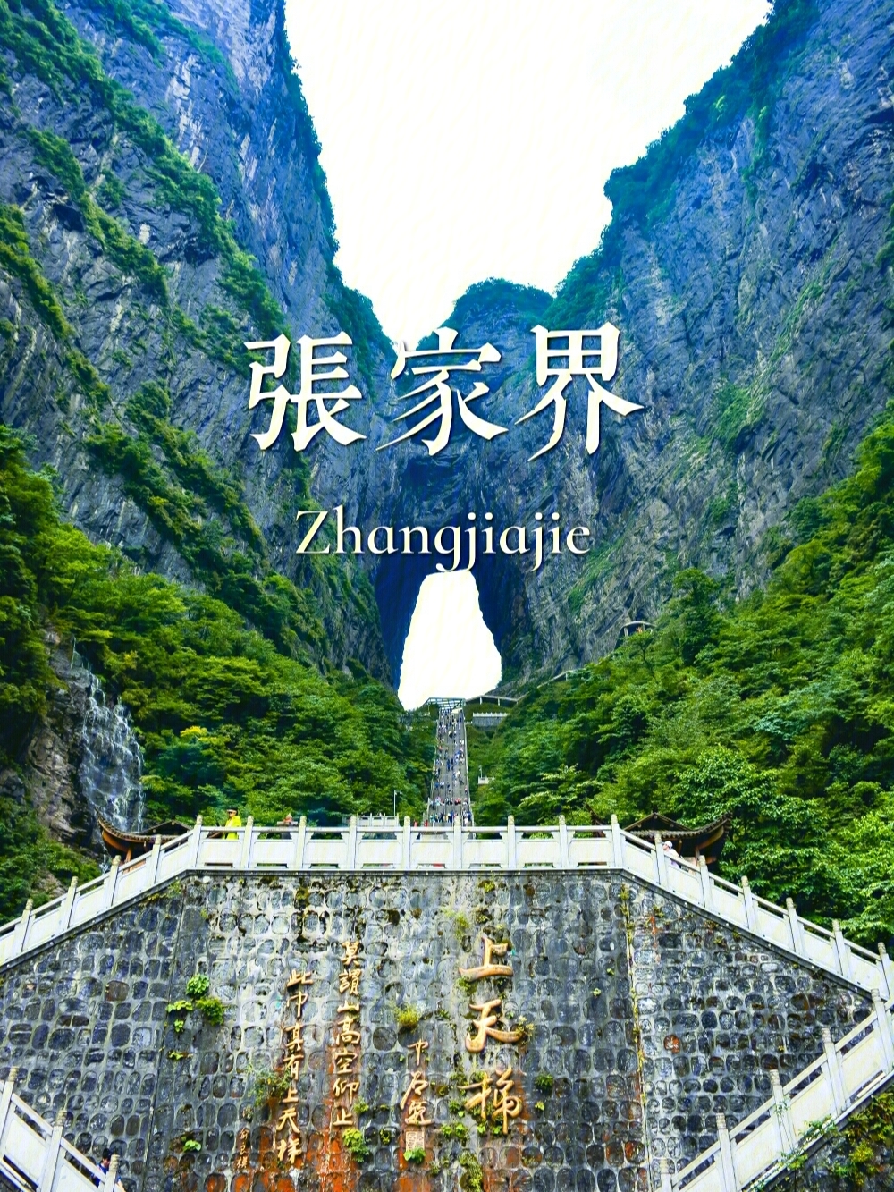 张家界#张家界旅游#张家界旅游攻略#张家界旅行#张家界景点.