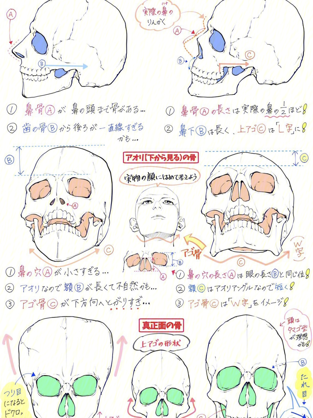 山城拓也图片