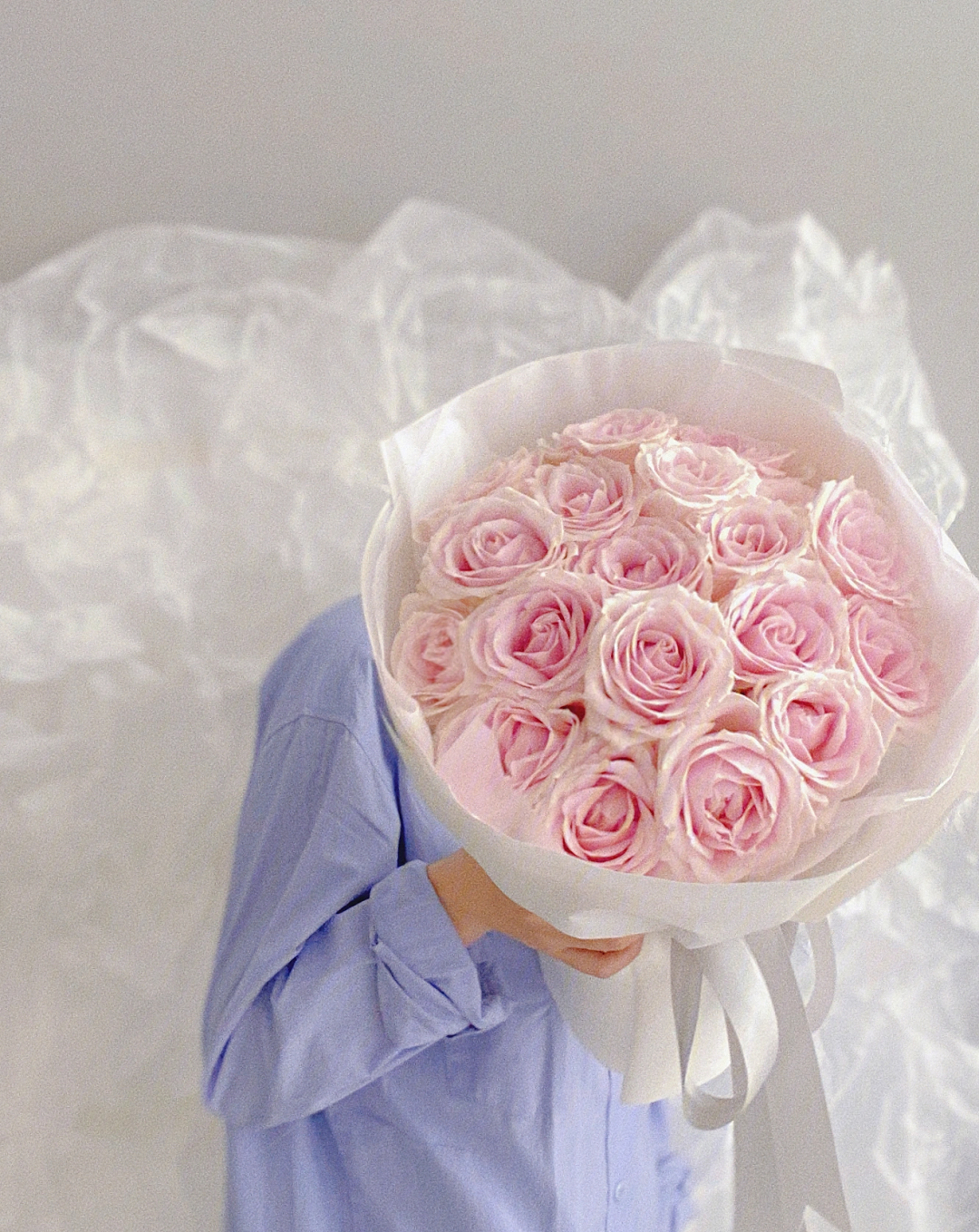 19朵粉玫瑰寓意图片