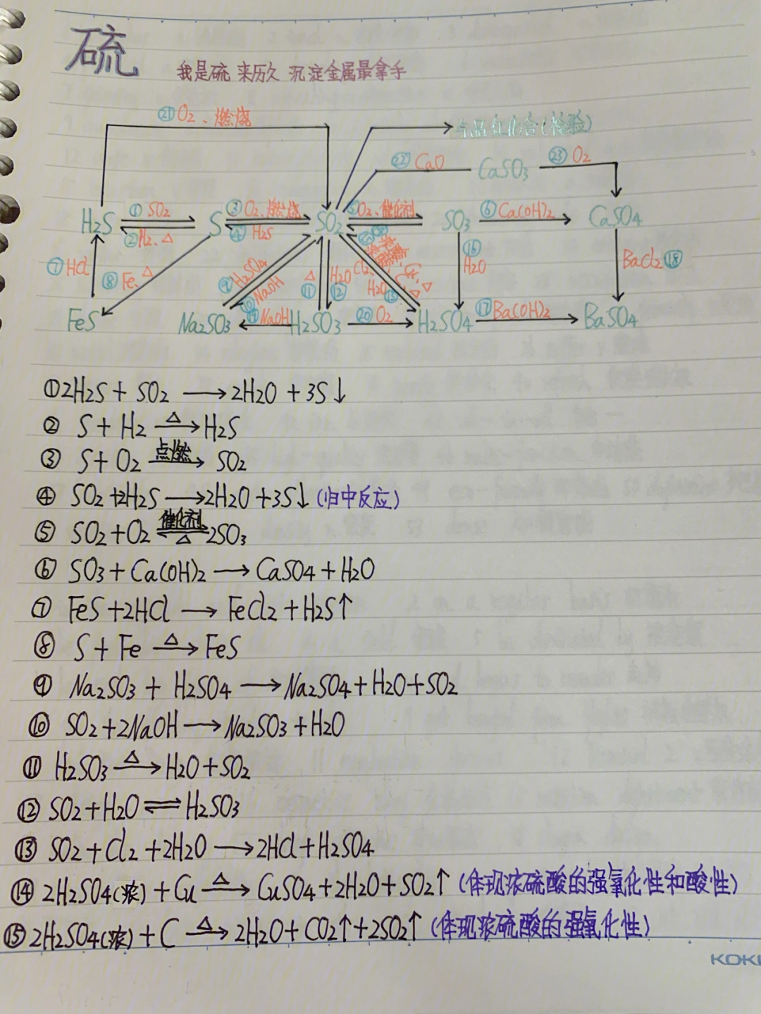 高中化学硫及其化合物方程式