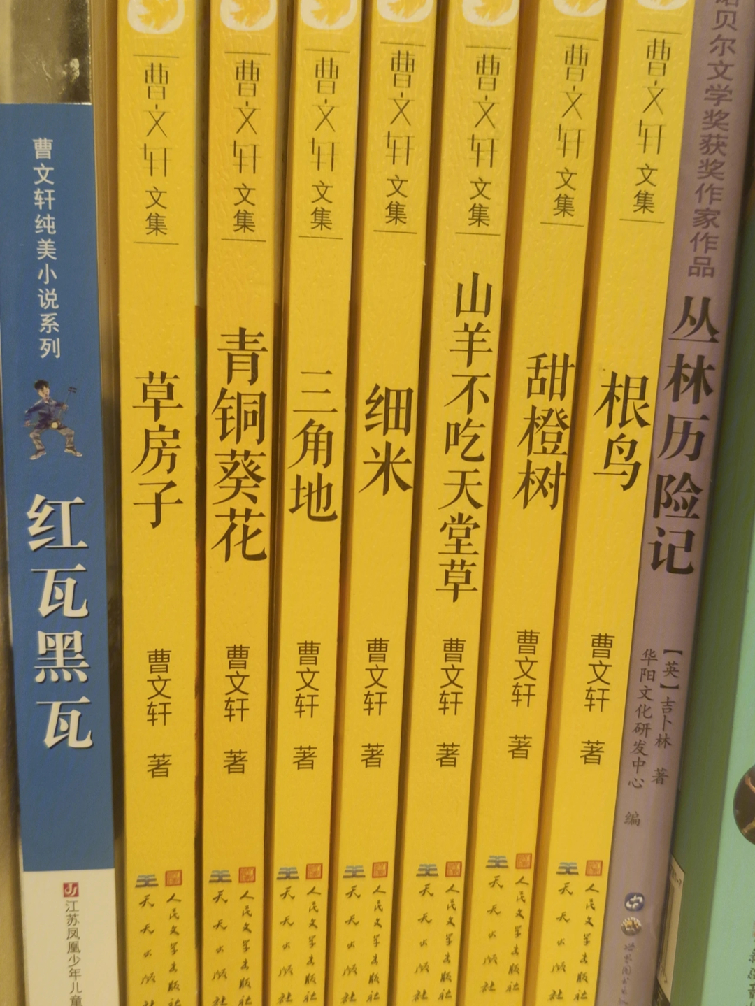 他的父亲是油麻地小学的校长,虽不像以前的杜小康家境殷实,却也过着