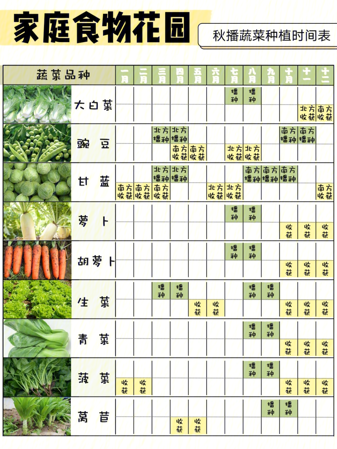 蔬菜一年四季种植表图片