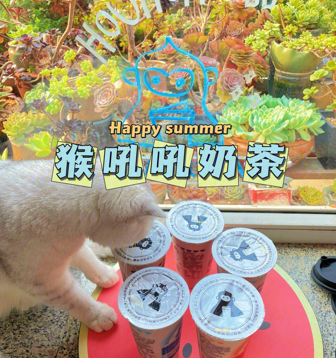 c山哈草猴hoho图片