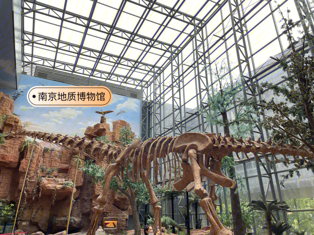 与小姐姐的南京一日游:南京地质博物馆!
