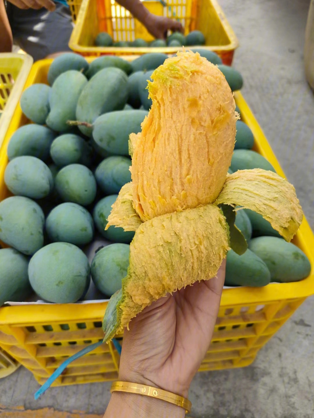 田阳特色美食排行榜图片