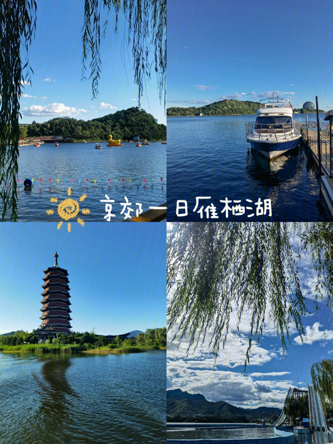 先吃顿红鳟鱼,饭后前往怀柔雁栖湖风景区